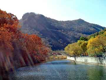 管家婆黑白马报图库，青草芬芳